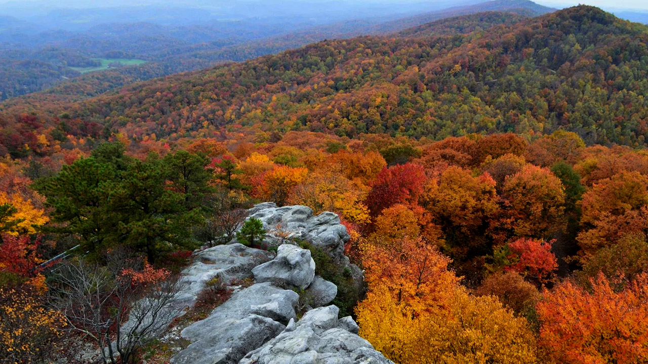 Road access and terrain at Misty Mountain property
